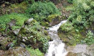 西岭雪山风景区 西岭雪山风景区